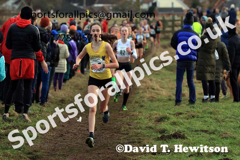 Girls Under-15s 2024 Northern Cross Country Champs., Sedgefield. Photo: David T. Hewitson/Sports for All Pics